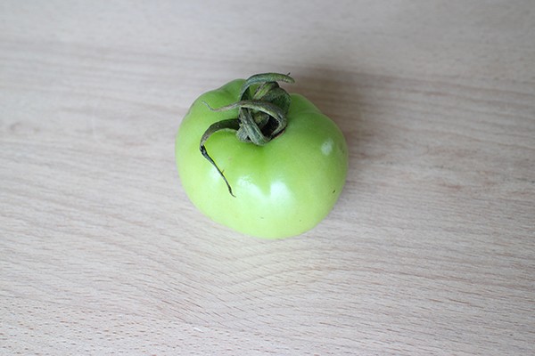 green tomato LifeStying by edochiana